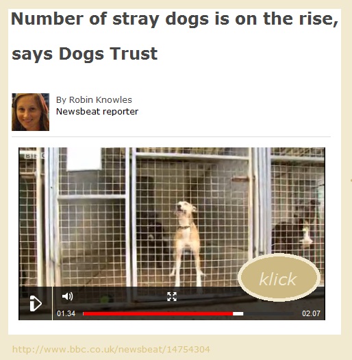 UK number of straydogs on the rise.jpg