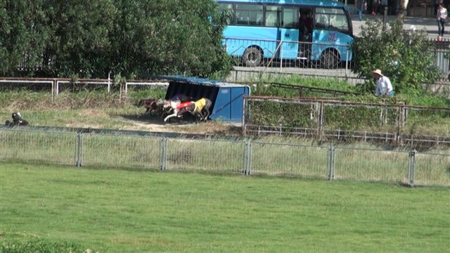 racing in China 2.JPG