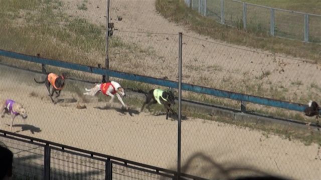 racing in china 3.JPG