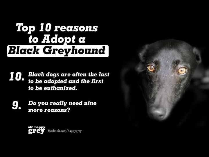blackgrey.jpg