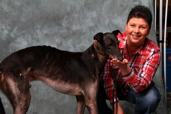 Aktuelles Amigo Bild