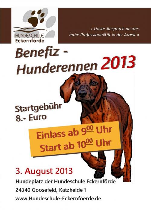 570_FlyerHunderennen2013.jpg