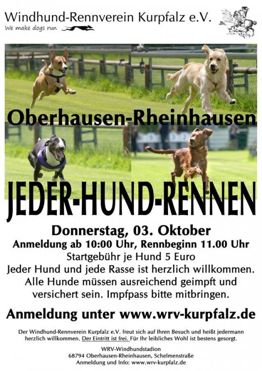 jederhund.jpg