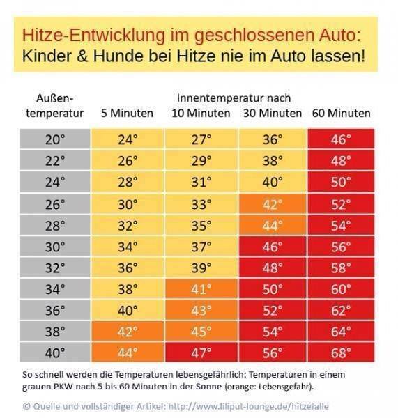 temperatur.jpg